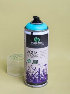 Спрей Краска Floralife 400мл Aqua бирюзовый