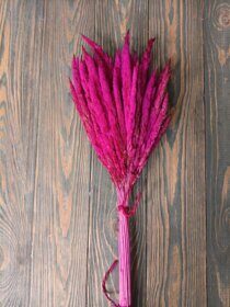 Вейник, банч, фуксия